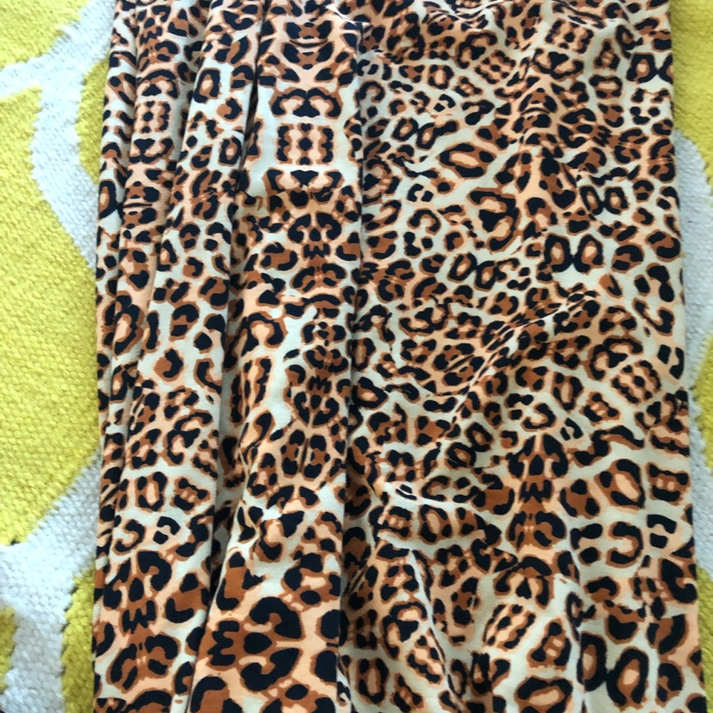 Leopard 🐆 Dani - Picture 2 of 2